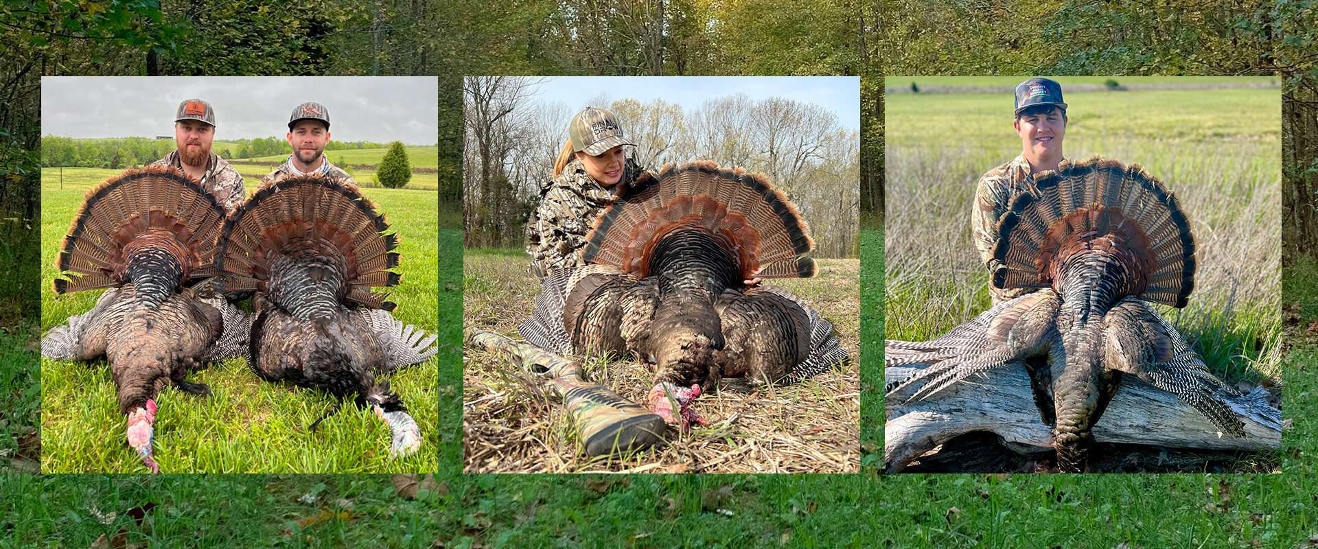 Spring Turkey Spring Turkey