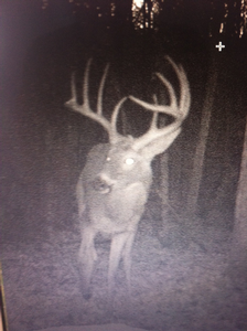 Trail Cam